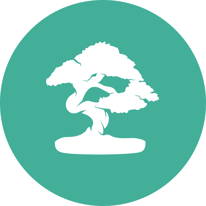 Sensei Logo Icon